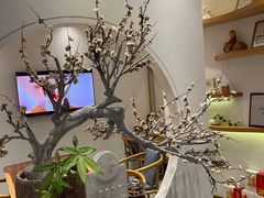 -不凡脑禅境·养生·舒压调理SPA(华发世纪城店)