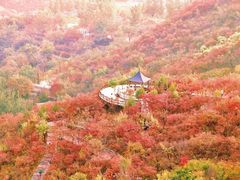 -周口店坡峰岭风景区
