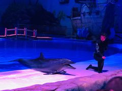 -华夏文旅海洋公园