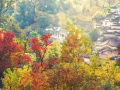 -塔川景区