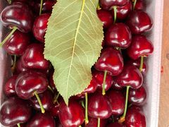 -堤口果品批发市场