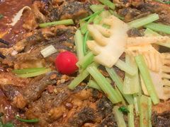 -老板恋上鱼(印象城店)