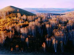 -塞罕坝国家级自然保护区