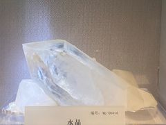 -湖南省地质博物馆