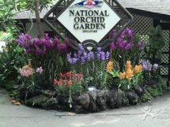 -植物园哈利亚餐厅