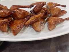 -东鸽皇(奥园·中环广场店)