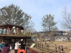 -大连森林动物园