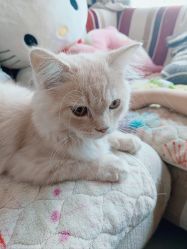 -Oasis Beauty水磨坊科技美肤中心