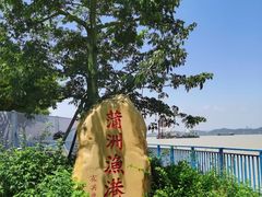 -南沙蒲洲花园