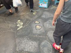 -西归浦每天偶来市场