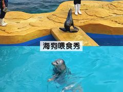 -秦皇岛乐岛海洋王国