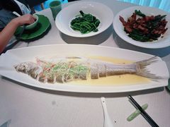 -绿杨春甄选(兴隆大街店)
