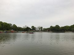 -上海鲜花港