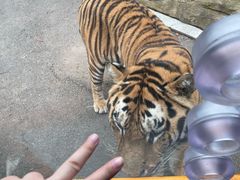 -大连森林动物园