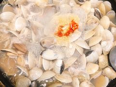 -拾下卜卜贝•海鲜火锅