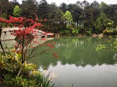 -铁山坪森林公园