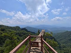 -王顺山国家森林公园