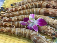 -鲜入围煮花胶鸡海鲜火锅