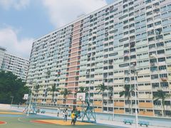 -彩虹村