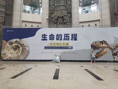 -温州博物馆