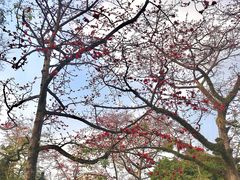 -广州中山纪念堂