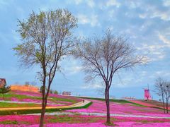 -莱阳濯村樱花园