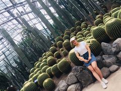 -南山植物园