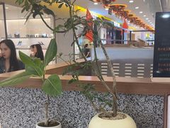 -野人先生Gelato(上海长宁龙之梦店)