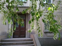 android_upload_pic-辽宁大学(崇山校区)