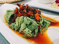 -云里小坐·小院里·团建·宴请·下午茶(三圣乡店)