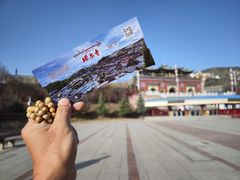 -塔尔寺