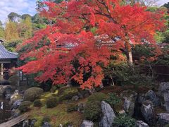-醍醐寺
