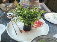 -百草滩羊清水涮羊肉·清真·宁夏盐池滩羊(莲花桥店)