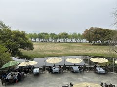 -闻莺馆(柳浪闻莺店)