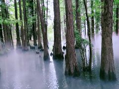 -东湖落雁景区