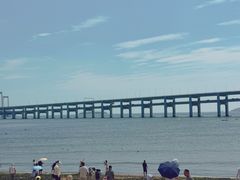 -日月昇渔家菜·海肠捞饭·大连海鲜(星海公园店)