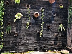 -一只烧鸡公(解放碑店)