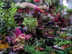 -三旗百汇商品城