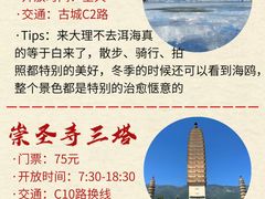 -大理洱海
