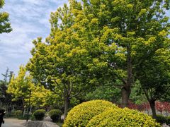 -北坞公园
