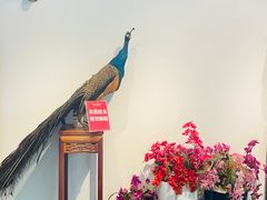 -傣庄园-正宗傣味餐厅·孔雀宴·手抓饭(告庄星光夜市店)