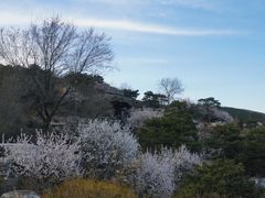 -北京西山国家森林公园