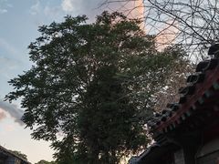 -国家大剧院