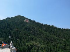 -龙口南山旅游景区