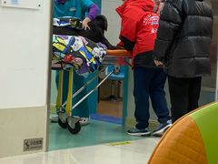 -北京观赏动物医院·24小时大型综合·猫专科·异宠专科