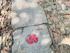 -西湖风景区十里琅珰-五云山