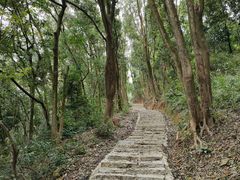 -黄埔油麻山森林公园