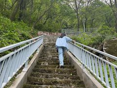 -秦岭风景区