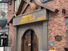 -雪灵魔法世界SHELLY’S TAROT(大良桂畔里店)