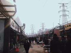 -中环花鸟鱼虫市场